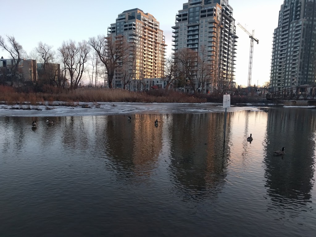 Waterloo Park | 50 Young St W, Waterloo, ON N2L 2Z4, Canada | Phone: (519) 725-0511