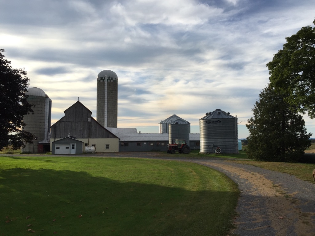 Ferme St-Denis | 925-968 Concession Rd 3, St-Eugène, ON K0B 1P0, Canada | Phone: (613) 674-2613