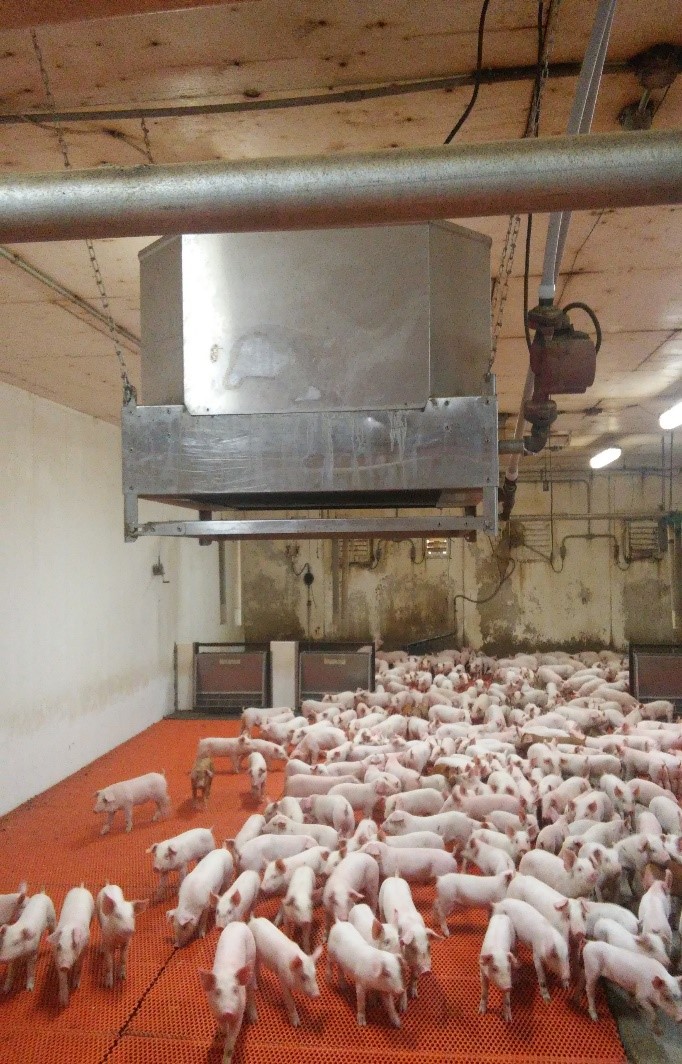 Northland Heaters | 7750 Assiniboine Rd, Manitoba R4K 1B8, Canada | Phone: (204) 791-3622