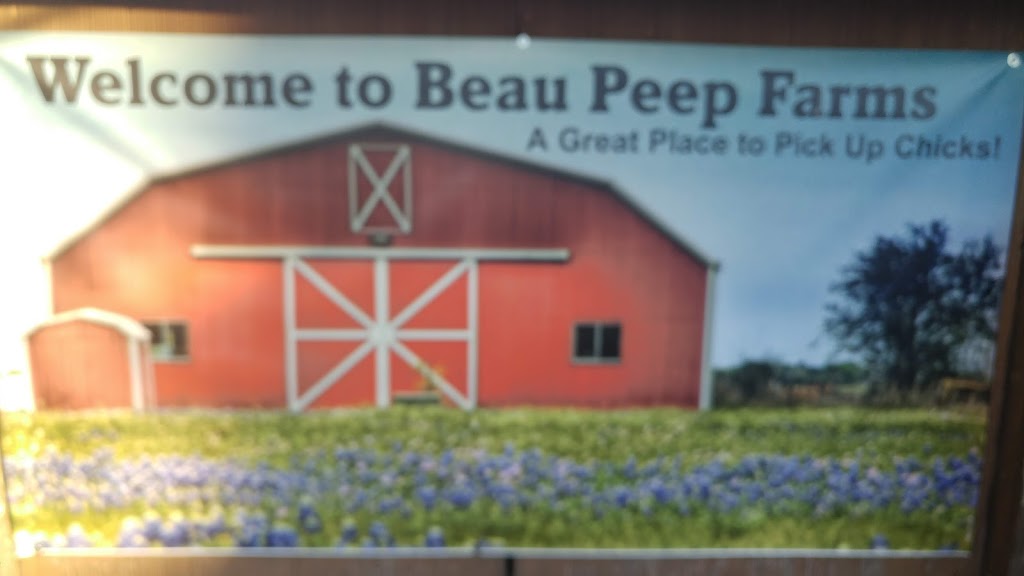 Beau Peep Farms | 50526 Yale Rd, Rosedale, BC V0X 1X2, Canada | Phone: (604) 791-3695