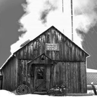 McCutcheons Maple Syrup | 3983 9 Line N, Coldwater, ON L0K 1E0, Canada | Phone: (705) 835-5780