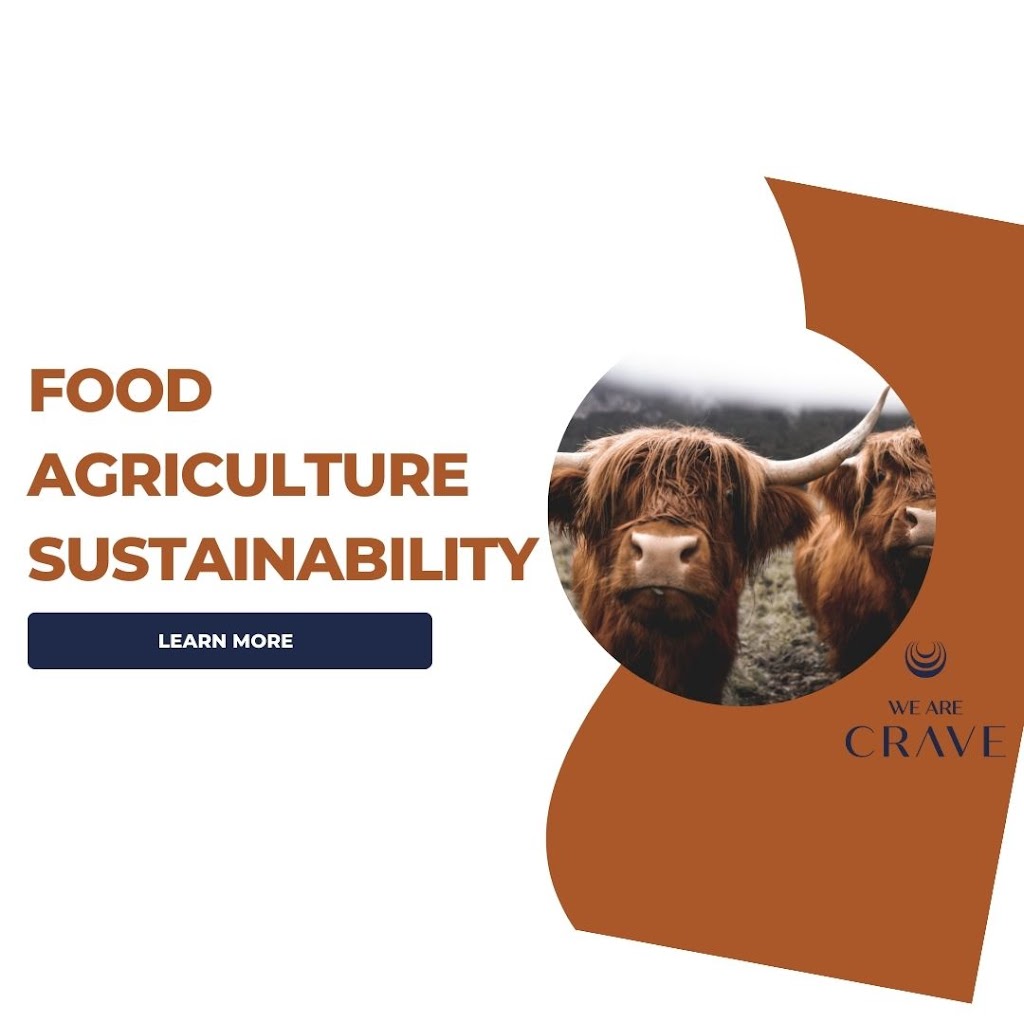 We Are Crave | 325 Delaware Ave, Burlington, ON L7R 3B3, Canada | Phone: (905) 634-2430