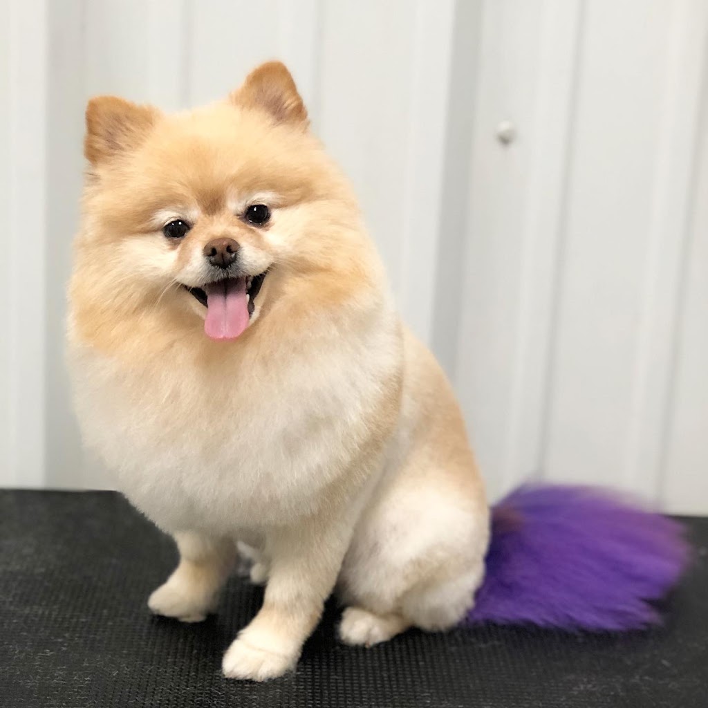 Momo Dog Grooming | 931 Redonda St #4, Winnipeg, MB R5R 0J7, Canada | Phone: (204) 510-8573
