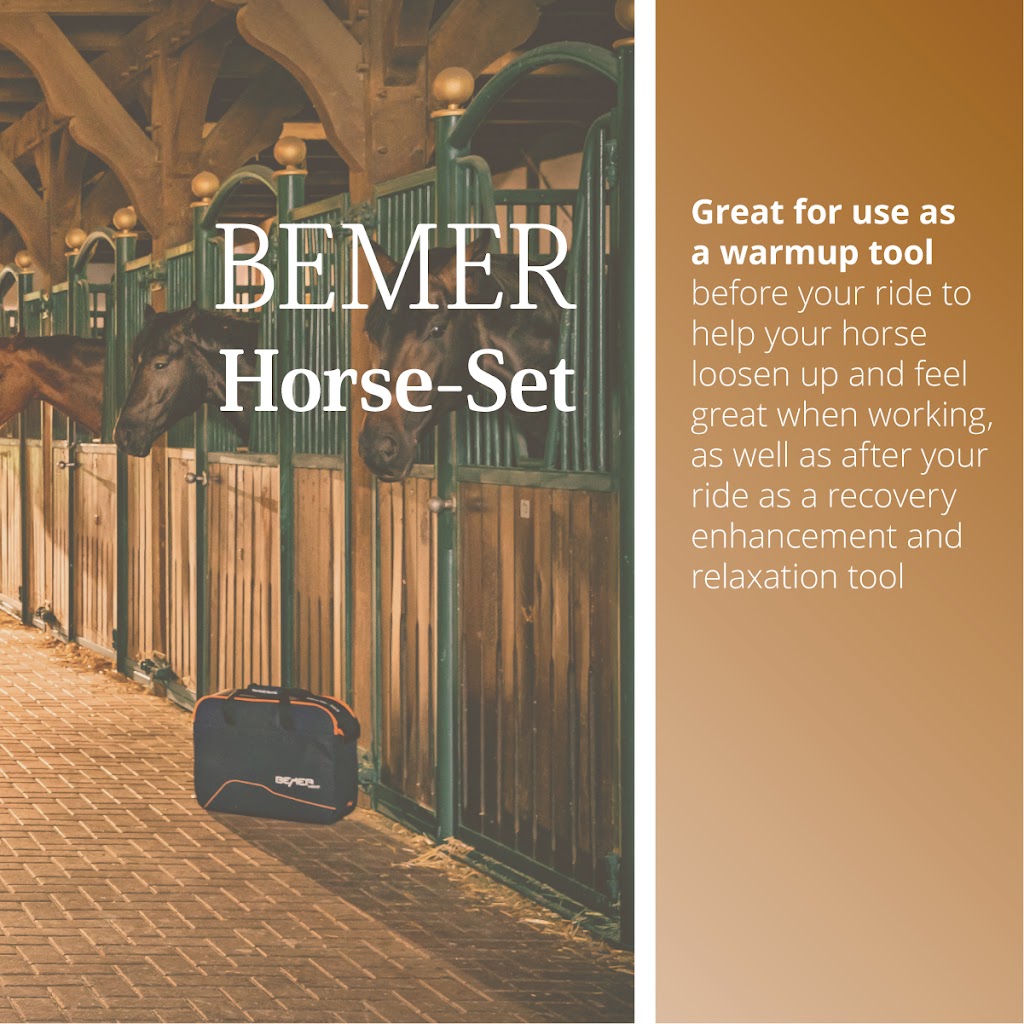 Cristina’s Equine Massage | 545 Cameron Harvey Dr, Ottawa, ON K2K 1X7, Canada | Phone: (613) 220-3239