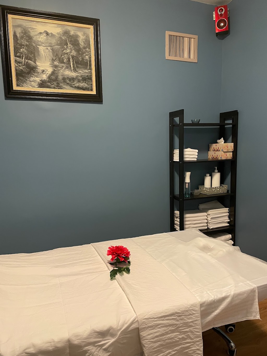 Vivi Health Centre | 298 Lakeshore Rd W, Mississauga, ON L5H 1G6, Canada | Phone: (437) 989-5886