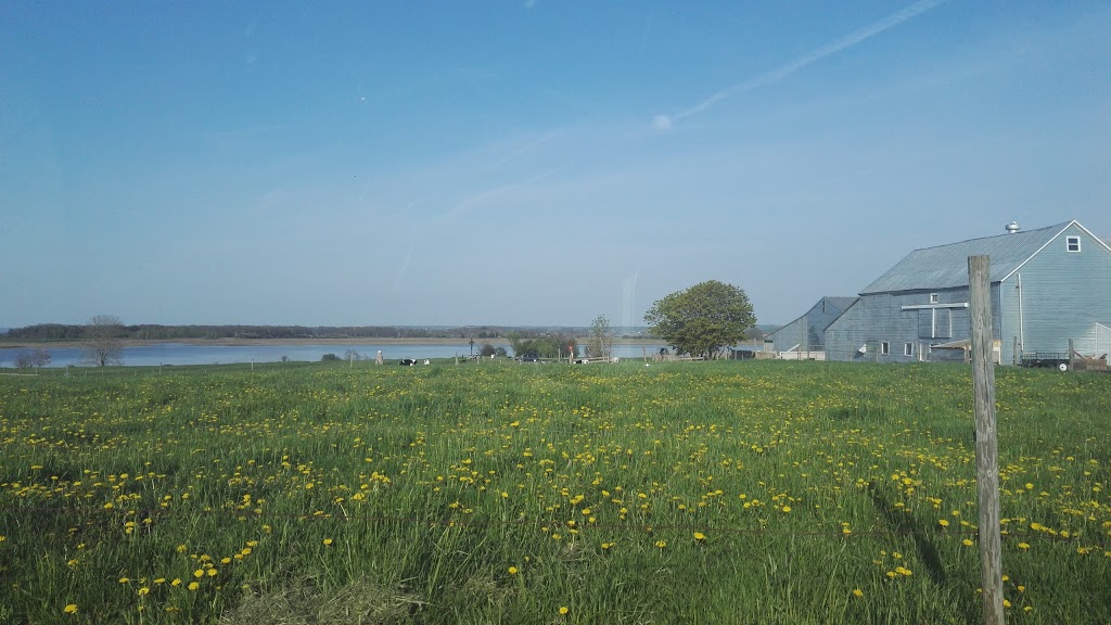 Curry Knoll Farms | 124 Wharf Rd, Wolfville, NS B4P 2R3, Canada | Phone: (902) 542-9856