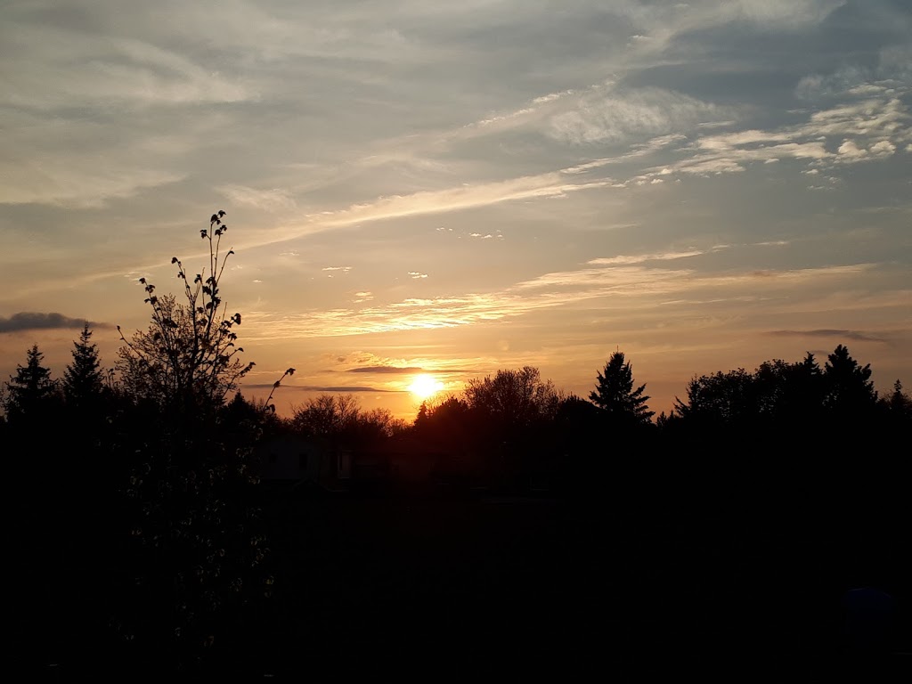 Carlyle Park | Pioneer Park, Kitchener, ON N2P, Canada