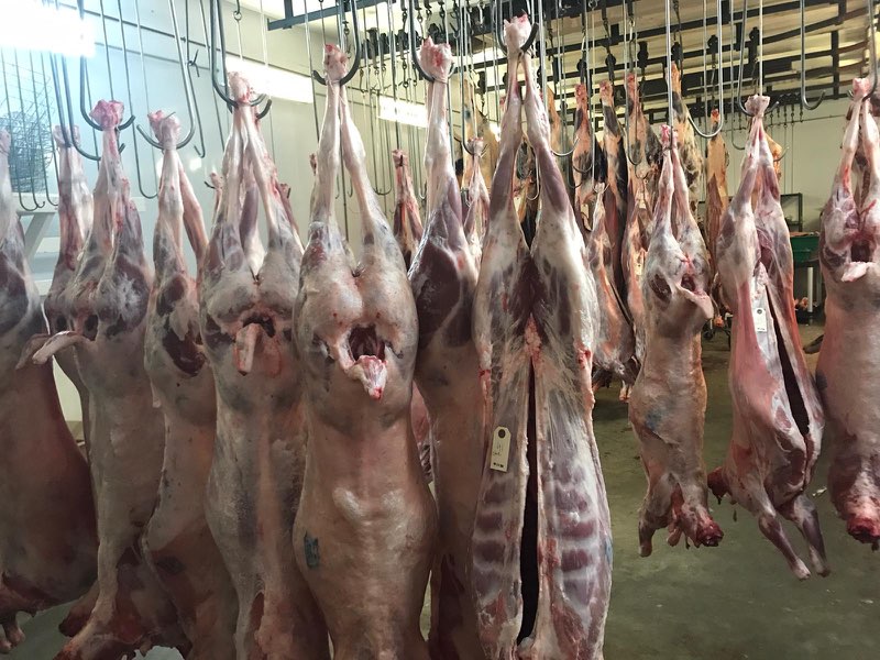 All Natural Meats | 192 Main St N, Carman, MB R0G 0J0, Canada | Phone: (204) 745-2763