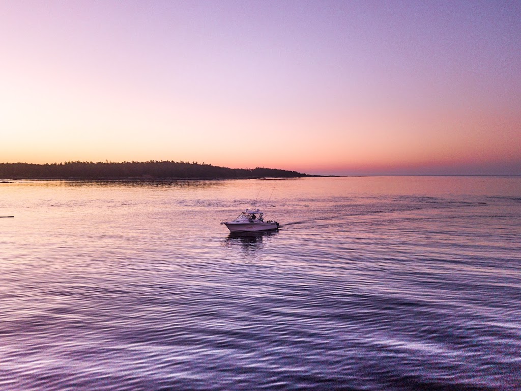 KingSize Adventures | 1327 Beach Dr, Victoria, BC V8S 2N4, Canada | Phone: (250) 507-5500