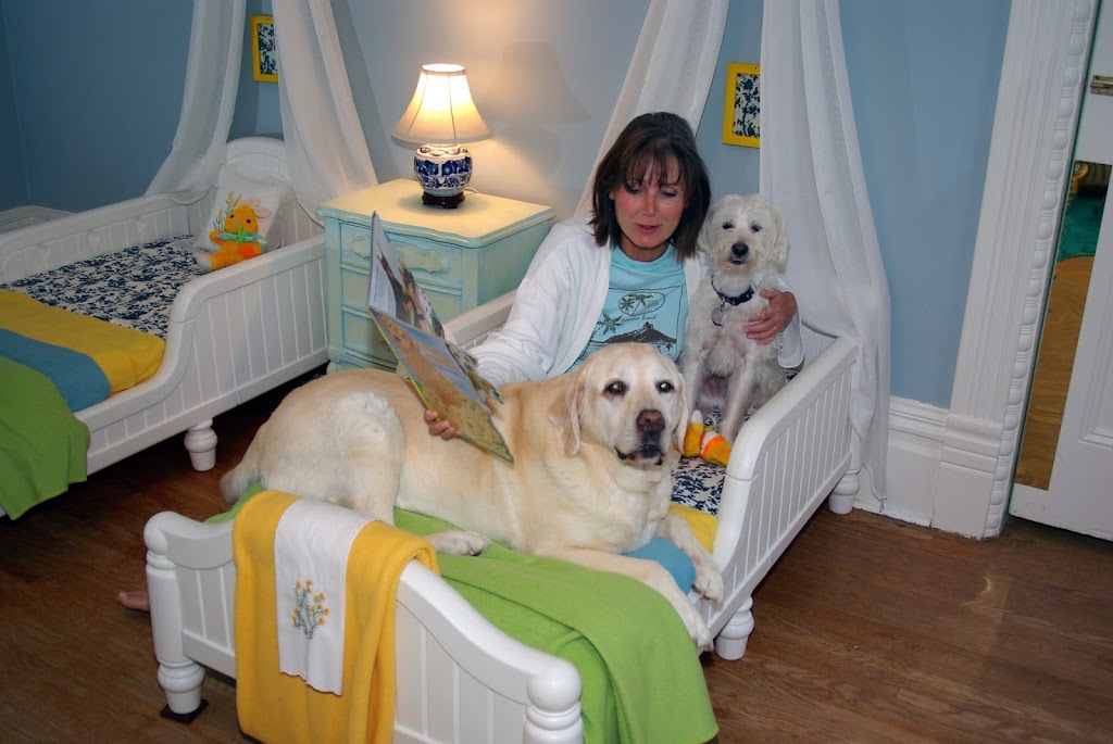 Our Dog Spot | 101 Hollands Rd, Greater Napanee, ON K7R 3K8, Canada | Phone: (613) 354-7682