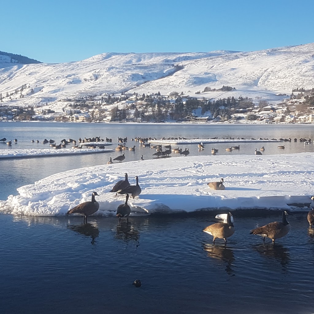 Sandy Beach Campground | 6900 Tronson Rd, Vernon, BC V1H 1X6, Canada | Phone: (250) 308-4633