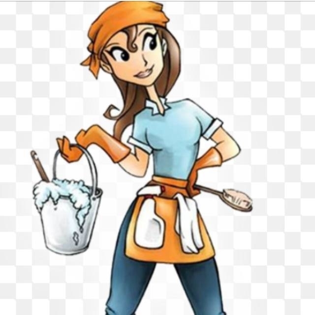 Cleaning by Janice | 50963 Lambert Rd, Welland, ON L3B 5N6, Canada | Phone: (905) 321-5317