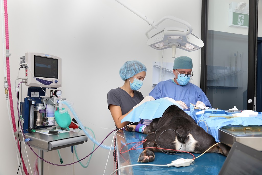 Darlington Veterinary Hospital PC | 200 Marycroft Ave #24, Woodbridge, ON L4L 5X9, Canada | Phone: (905) 851-0142