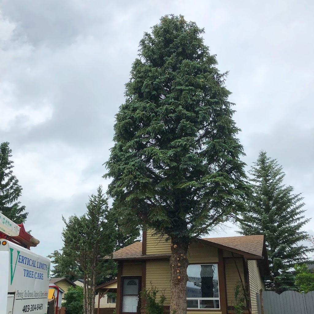 Vertical Limits Tree Care Services | 315 Barrett Dr, Red Deer, AB T4R 1J1, Canada | Phone: (403) 304-8421