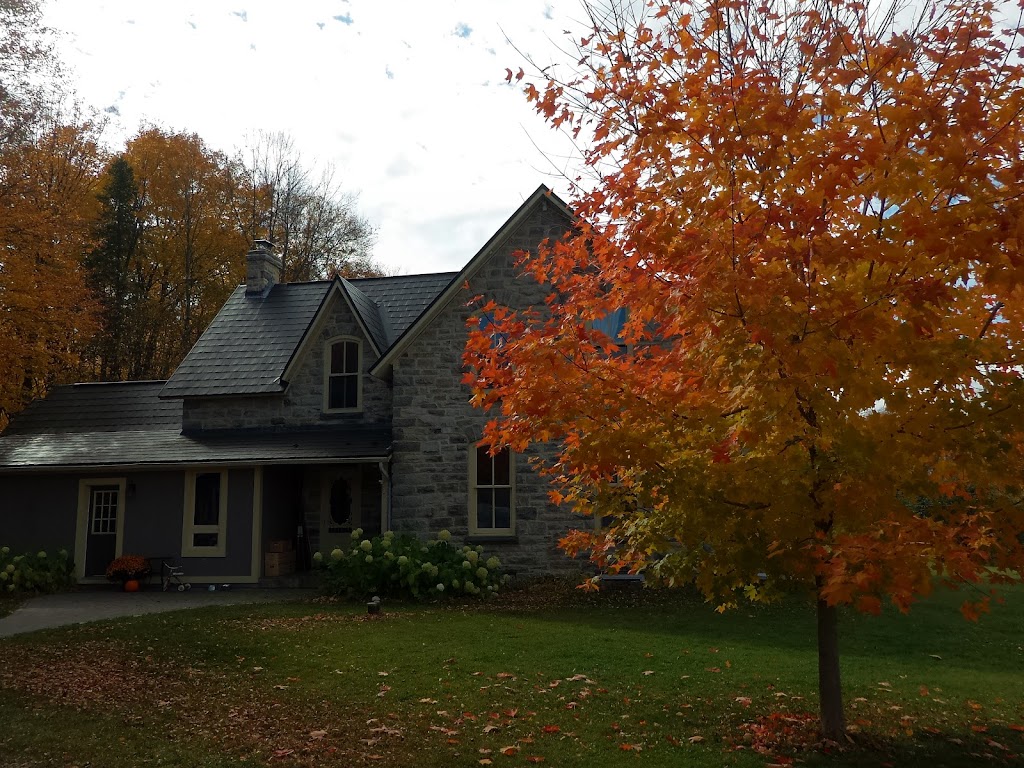 Farmgate Cider | 4547 Mohrs Rd, Arnprior, ON K7S 3G7, Canada | Phone: (613) 291-1788