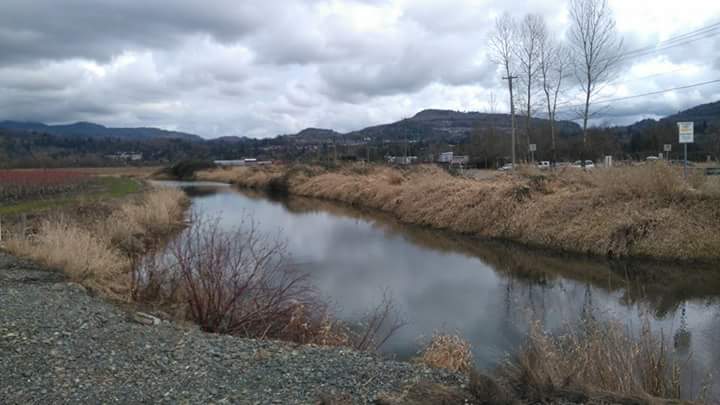 Old Riverside Park | Old Riverside Rd, Abbotsford, BC V2S 7B1, Canada | Phone: (604) 852-9541