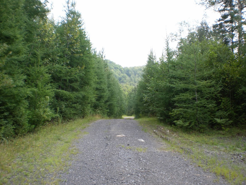 Projet domiciliaire Mont Baldy | 2530 CH Mont Sauvage, Sainte-Adèle, QC J8B 2E3, Canada | Phone: (450) 602-6719