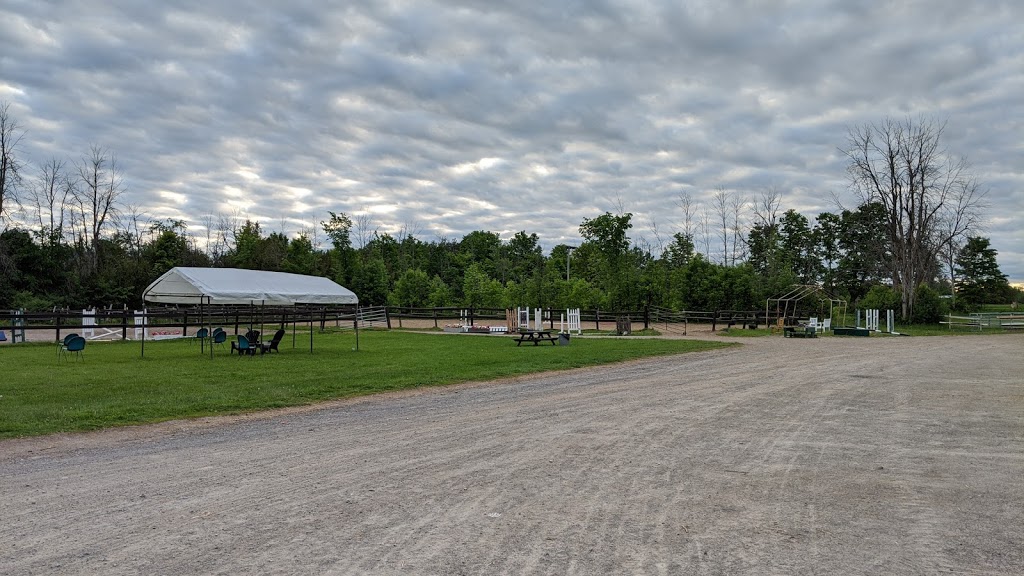 Fiddlers Green Stables | 6575 Flewellyn Rd, Stittsville, ON K2S 1B6, Canada | Phone: (613) 831-2844