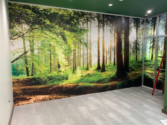 APWindow Film | 1506 Michael St, Ottawa, ON K1B 3S1, Canada | Phone: (613) 567-8468