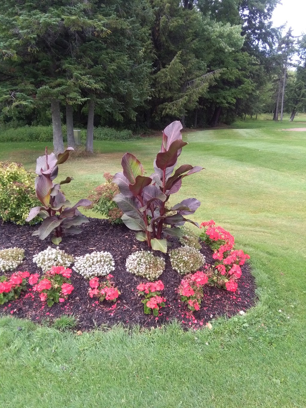Club De Golf Valcourt | 1000 Rue Champêtre, Valcourt, QC J0E 2L0, Canada | Phone: (450) 532-3505