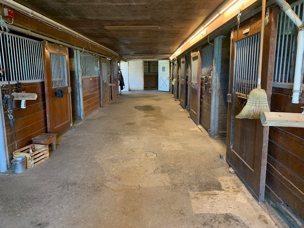QUASAR EQUESTRIAN LTD. | 890 Davis Dr W, Newmarket, ON L3Y 4V9, Canada | Phone: (905) 252-6177