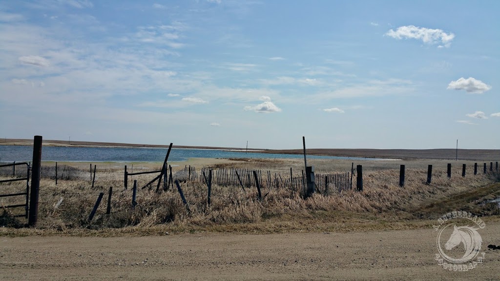 Wildlife Tomorrow - Wildlife Habitat | Unnamed Road, Colonsay, SK S0K 0Z0, Canada