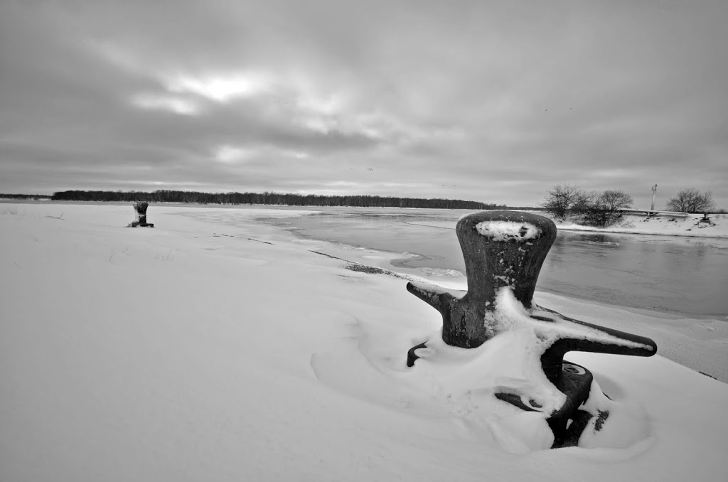 Buckhorn State Park peninsula | Grand Island, NY 14072, USA