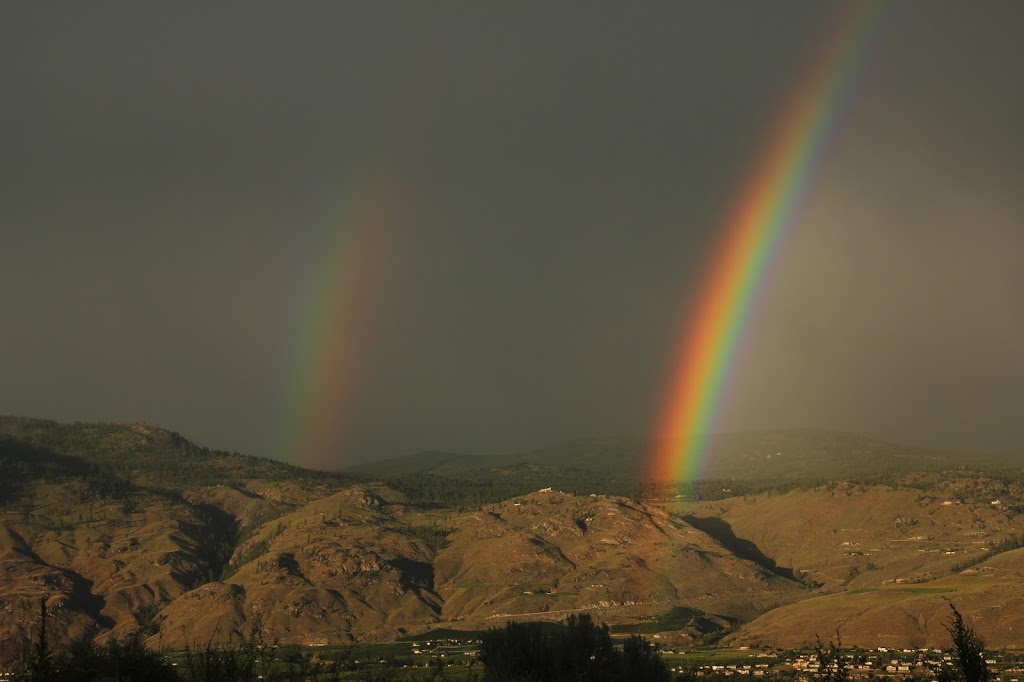 Bucs Bed and Brew | 11700 Olympic View Dr, Osoyoos, BC V0H 1V4, Canada | Phone: (250) 495-7537