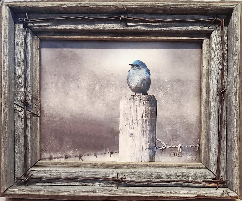 D. Dunning Fine Art Photography | 339 Willow Ridge Manor SW, Black Diamond, AB T0L 0H0, Canada | Phone: (403) 894-2635