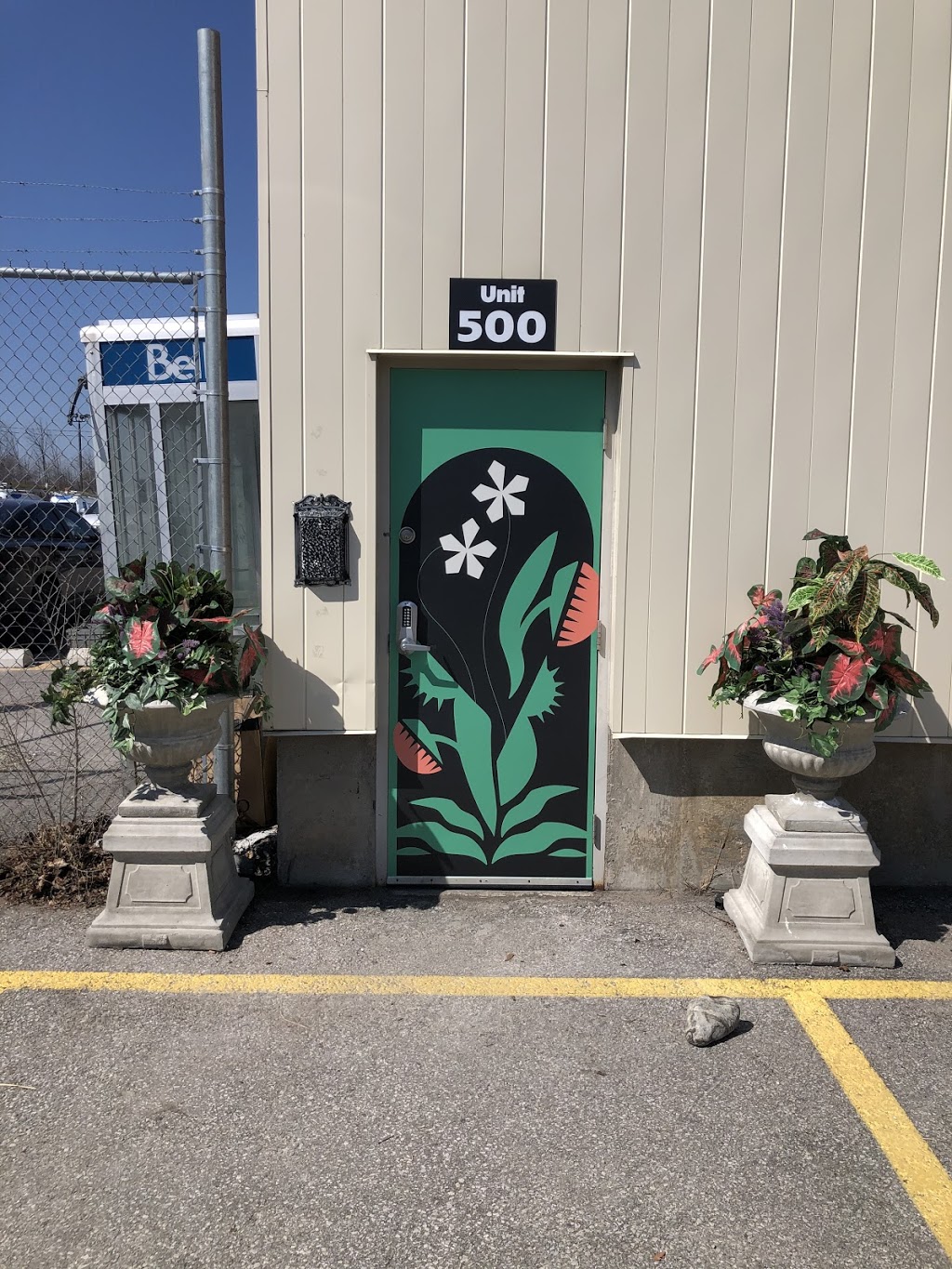 Killer Greens | 345 Horner Ave #500, Etobicoke, ON M8W 1Z6, Canada | Phone: (416) 388-2646