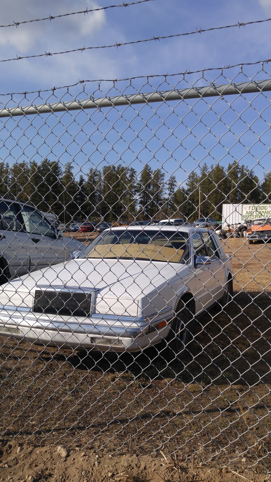 Specialty Cars Ltd | Hwy 3 W, Prince Albert, SK S0J 2N0, Canada | Phone: (306) 764-7190