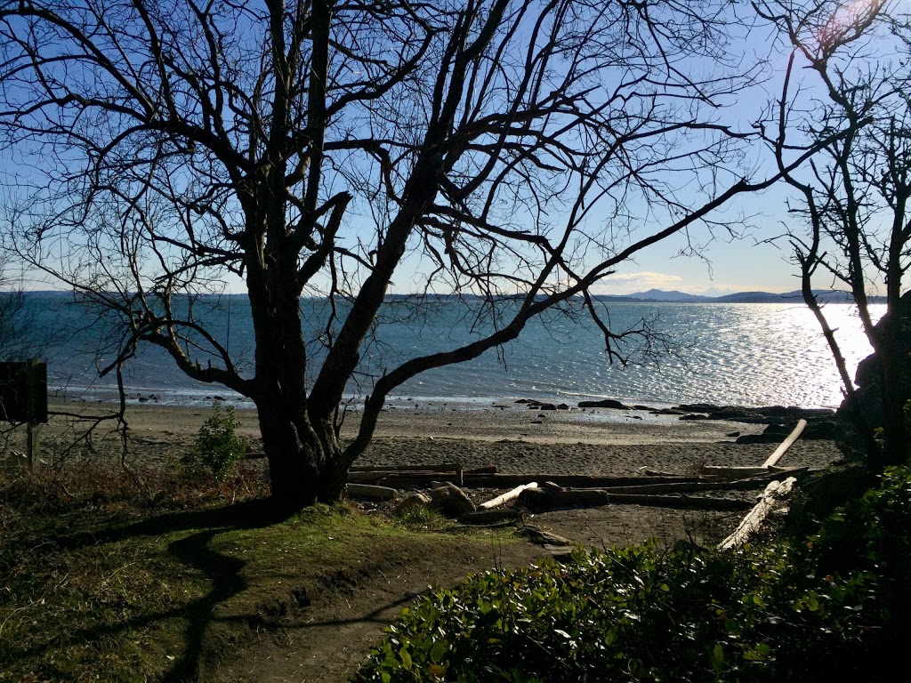 Clayton Beach | Bow, WA 98232, USA