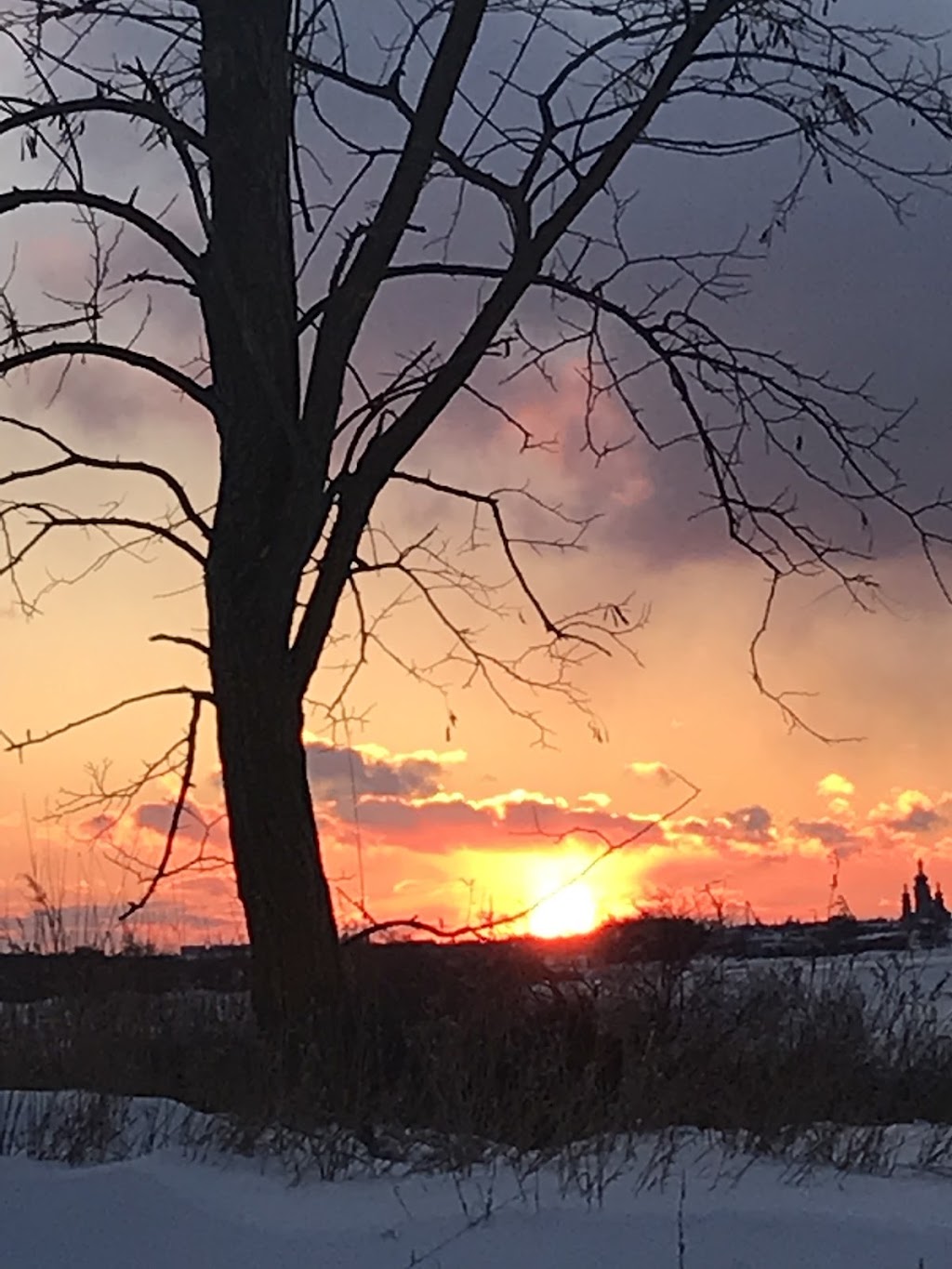 Tracy Griffin R.M.T. CranioSacral Therapist | 10228 Kennedy Rd, Markham, ON L6C 1N9, Canada | Phone: (416) 817-7255
