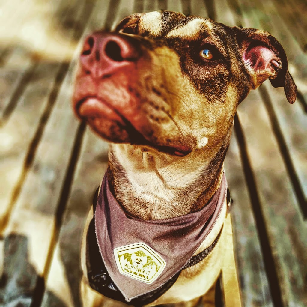 Ruffing It | 345 Concession Rd 10 #349, Port Elgin, ON N0H 2C6, Canada | Phone: (844) 444-7833