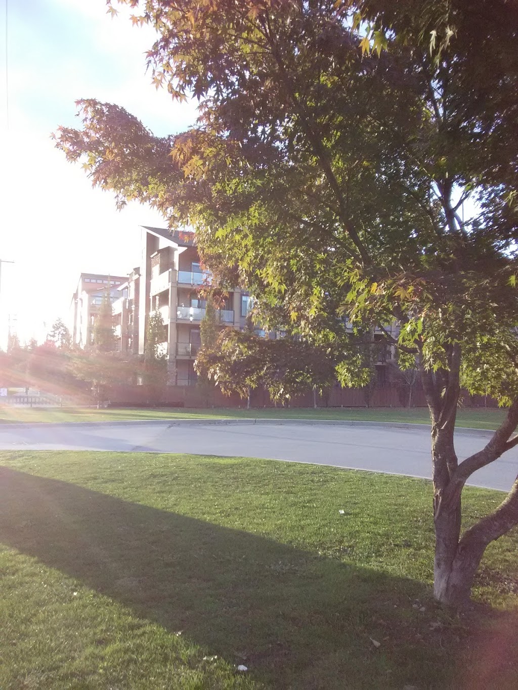 Yorkson Grove Apartments | 8026 207 St, Langley City, BC V2Y 1X6, Canada | Phone: (604) 259-6805