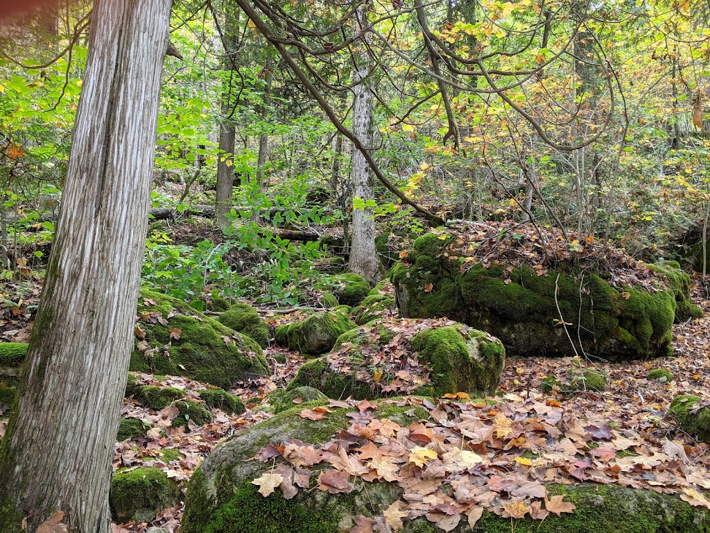 Bruces Caves Conservation Area | Grey Rd 1, Wiarton, ON N0H 2T0, Canada | Phone: (519) 376-3076