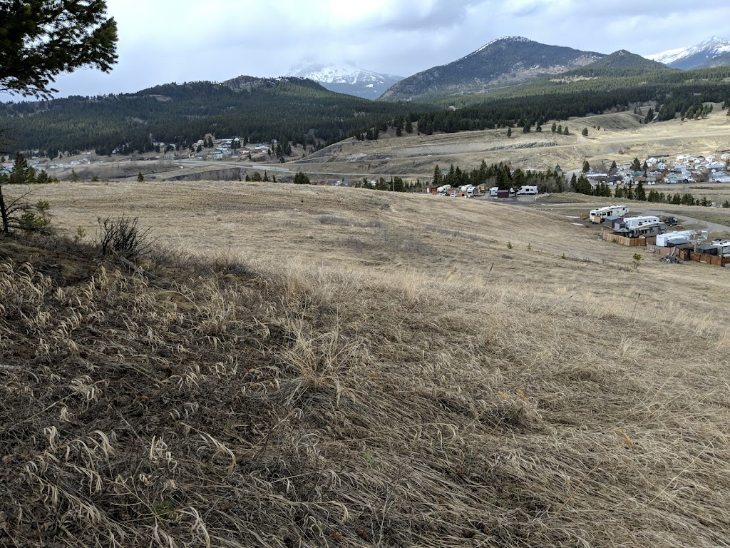 Green Mountain RV Park | 6700 15 Ave, Coleman, AB T0K 0M0, Canada | Phone: (403) 583-2267