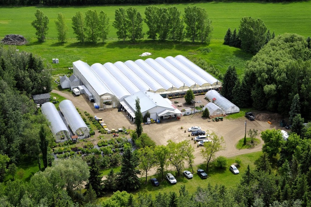Arber Greenhouses Ltd | Wetaskiwin County No. 10, AB T9A 2Y9, Canada | Phone: (780) 352-7520