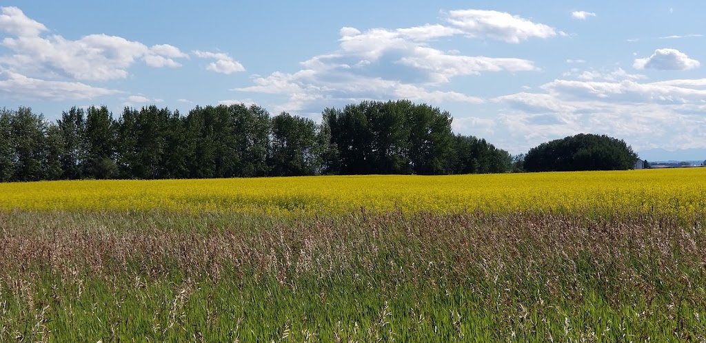Serenity Golf Club | 222111 Range Rd 274, Alberta T0J 0V0, Canada | Phone: (403) 936-2008