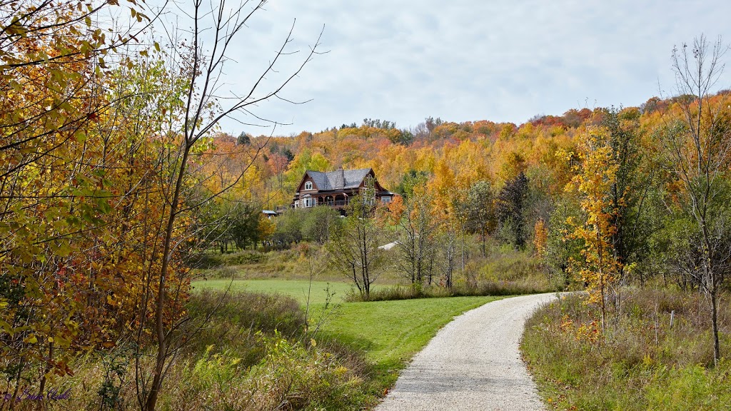 Beaver Valley Ski Club | 100 Pioneer Dr, Markdale, ON N0C 1H0, Canada | Phone: (519) 986-2520