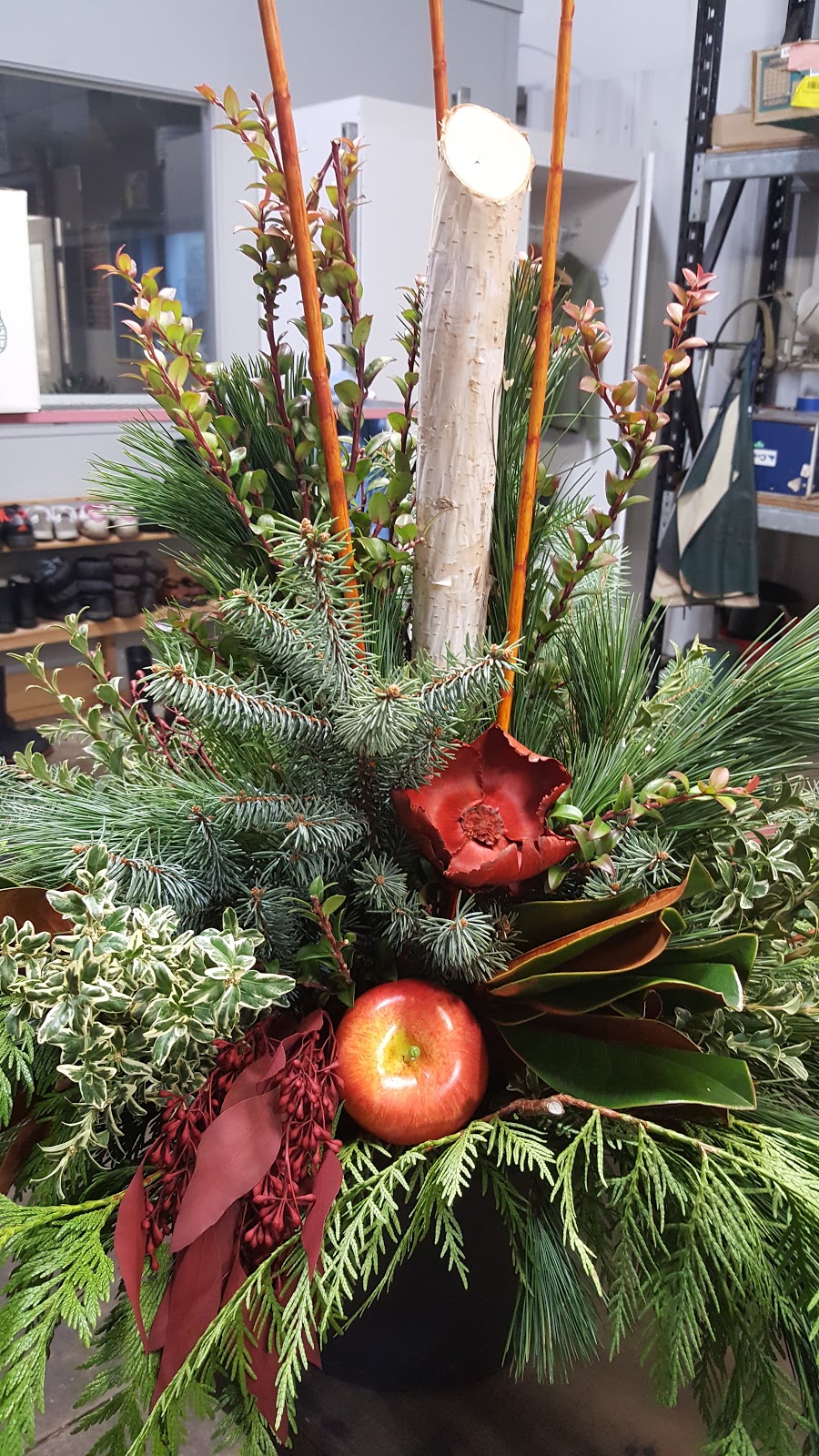 B-H Flower Wholesale | 910 Mid-Way Blvd, Mississauga, ON L5T 1V9, Canada | Phone: (905) 670-6630