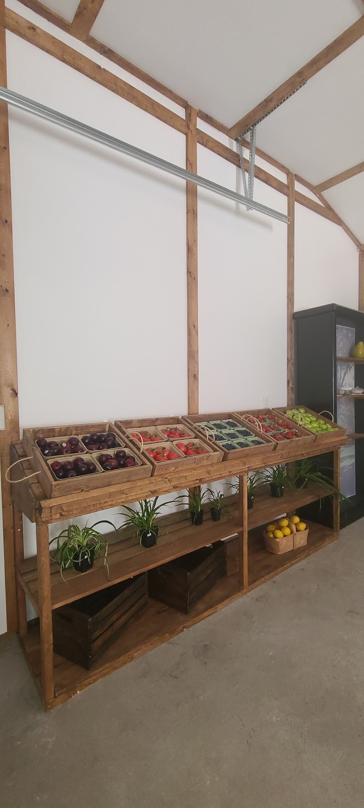 Faheys Fruit Stand | 5314 51 Ave, Clive, AB T0C 0Y0, Canada | Phone: (403) 896-0984