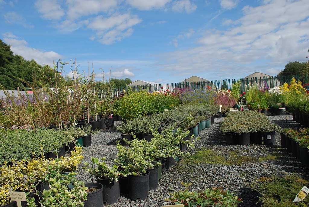 Lochside Nursery | 2716 Dooley Rd, Victoria, BC V8Y 1R7, Canada | Phone: (250) 544-3100