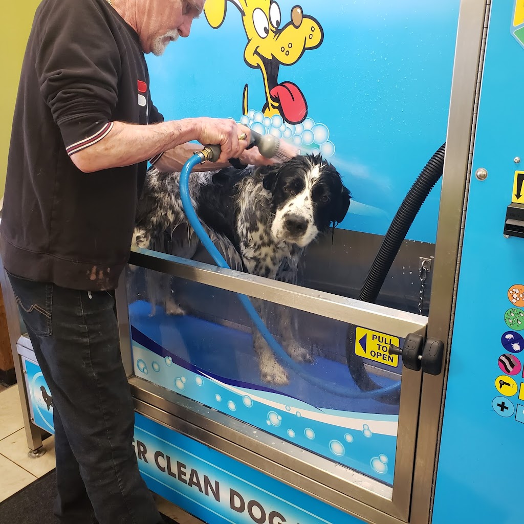 Gibbons Dog Grooming & Wash | 4712 50 Ave, Gibbons, AB T0A 1N0, Canada | Phone: (780) 578-2201