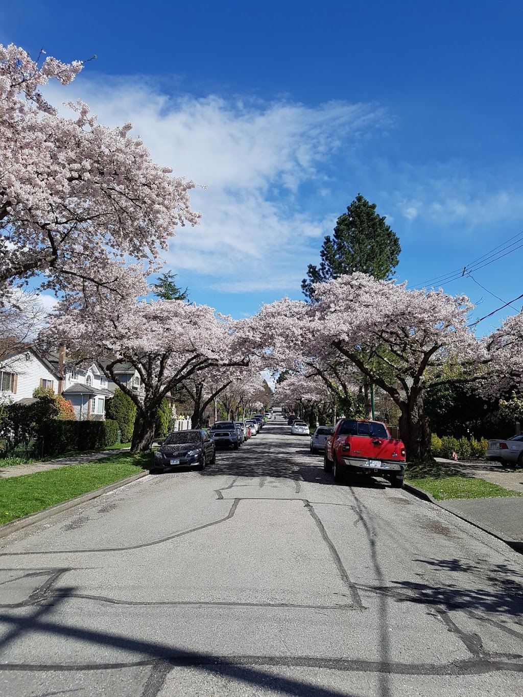 Glen Park | 3999 Glen Dr, Vancouver, BC V5V 4T2, Canada
