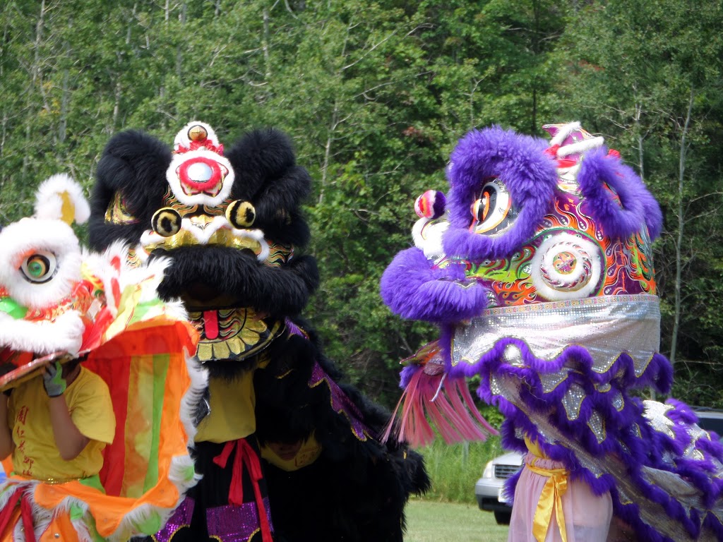 Ponderosa Campground | 19332 ON-48, Mount Albert, ON L0G 1M0, Canada | Phone: (905) 473-2607