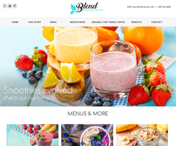 AACO Web & Graphic Design | 3205 Hamilton Regional Rd 56, Binbrook, ON L0R 1C0, Canada | Phone: (905) 920-9610