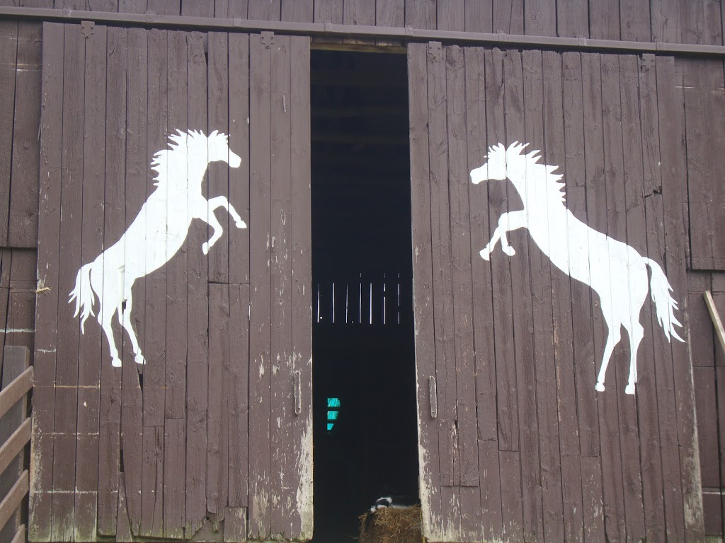 Horseshoe J Dude Ranch - Summer Camps, Lessons, Public trail rid | 32553 Erin Line, Fingal, ON N0L 1K0, Canada | Phone: (519) 762-5402