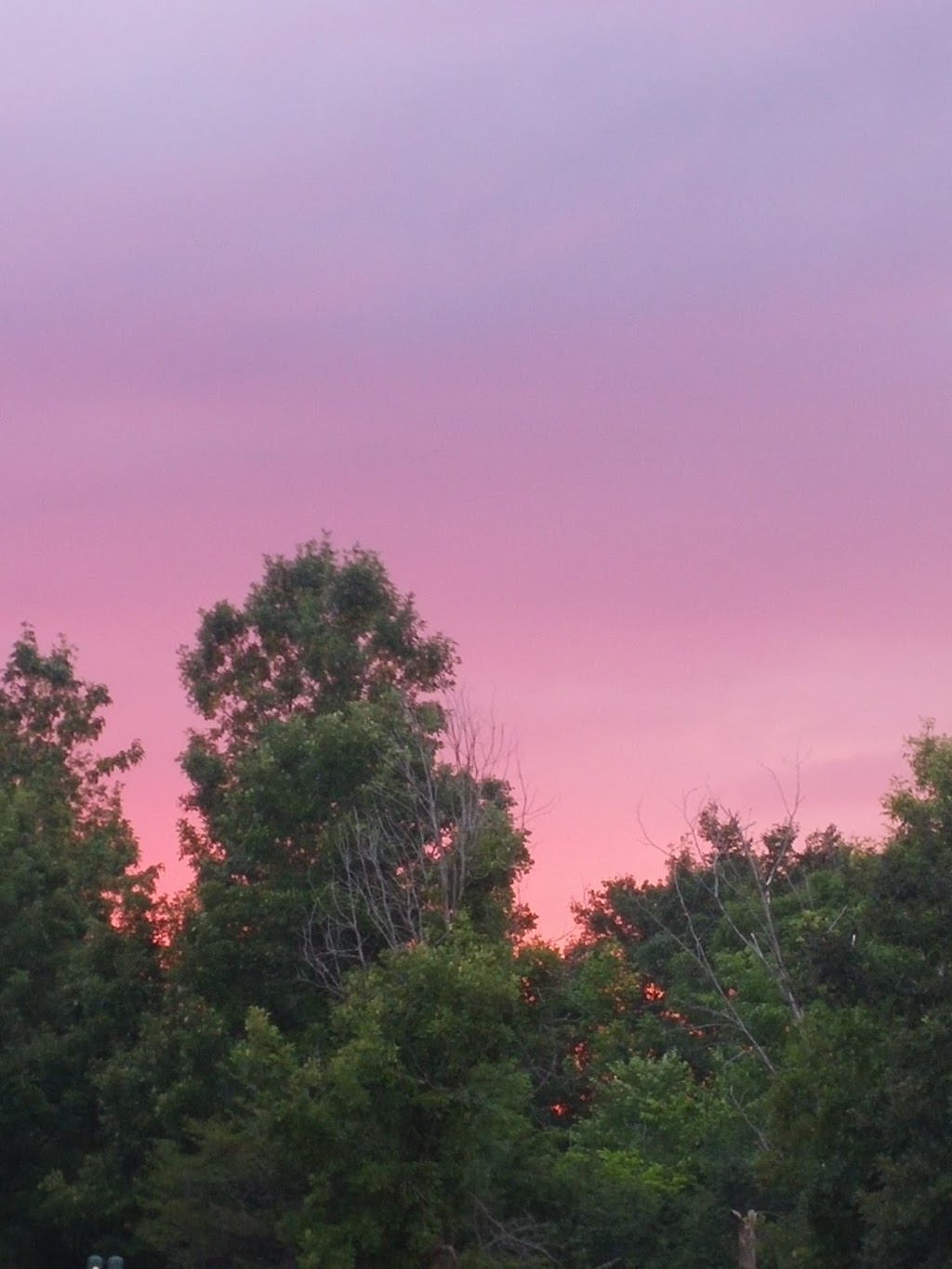 OReilly Lake Family Campground | 1091 OReilly Lake Ln, Mountain Grove, ON K0H 2E0, Canada | Phone: (613) 335-5643