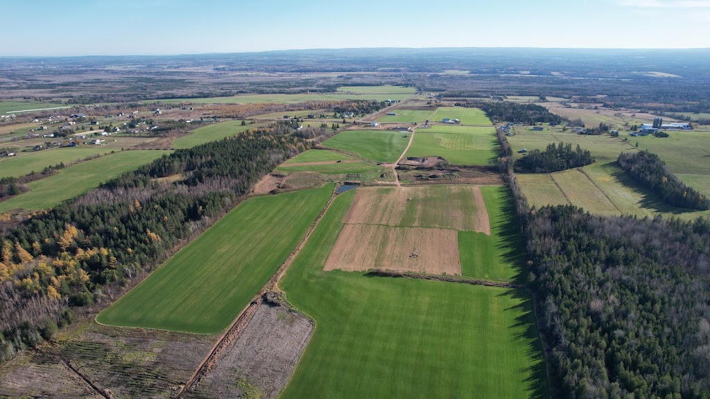 East Coast Turf Ltd. | 537 Charles Lutes Rd, Lutes Mountain, NB E1G 2T5, Canada | Phone: (506) 855-1282